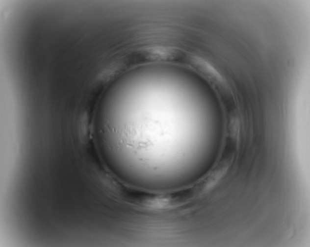 X0000099990318200805231458