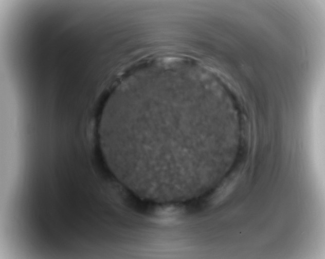 X0000099990319200805231457