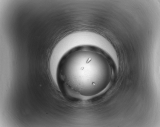 X0000099990320200805231457
