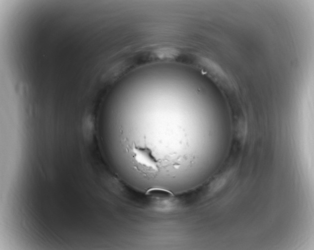 X0000099990321200805231457