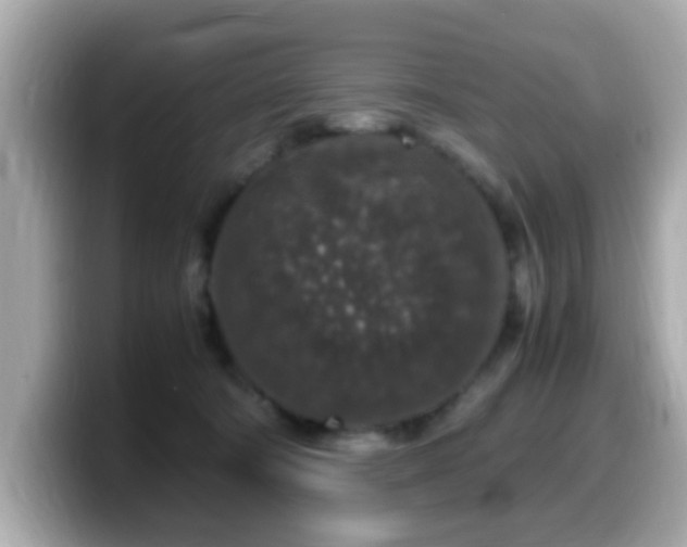 X0000099990322200805231457