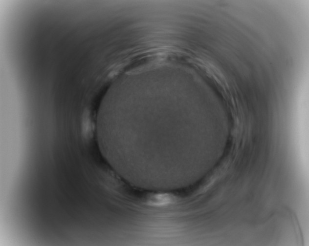 X0000099990324200805231457
