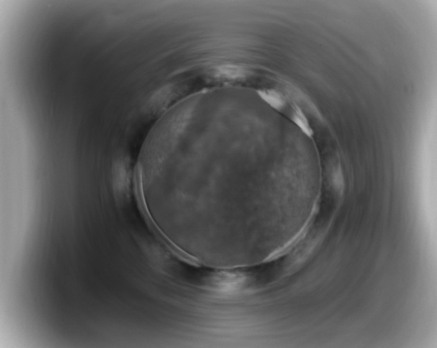 X0000099990328200805231457