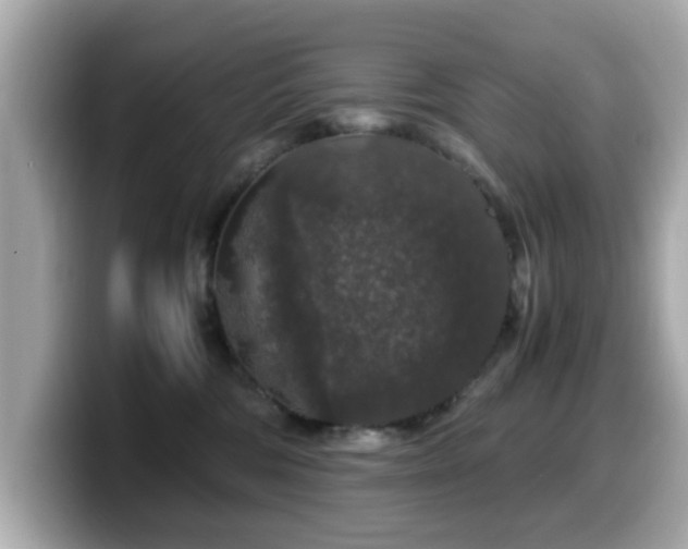 X0000099990330200805231457