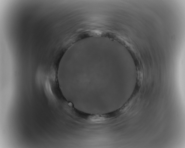X0000099990331200805231457