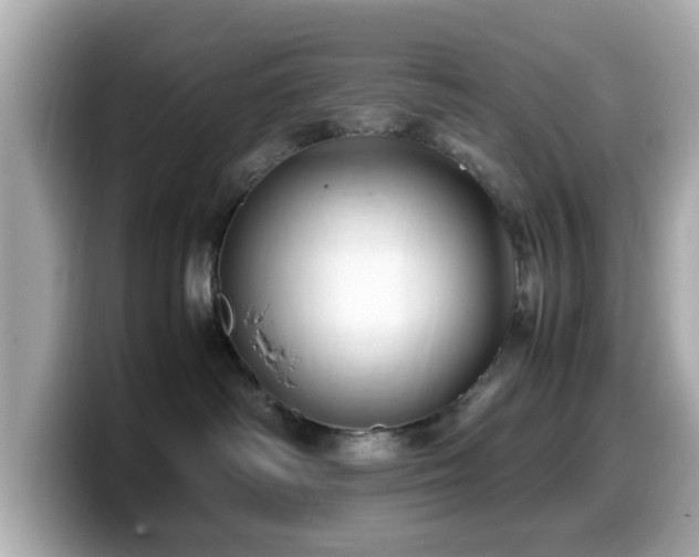 X0000099990334200805231457
