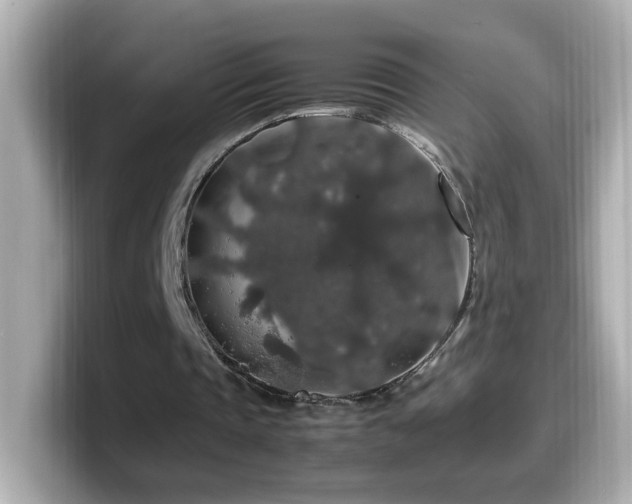 X0000099990337200805231457