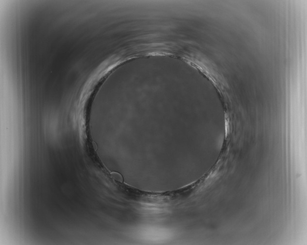 X0000099990339200805231457