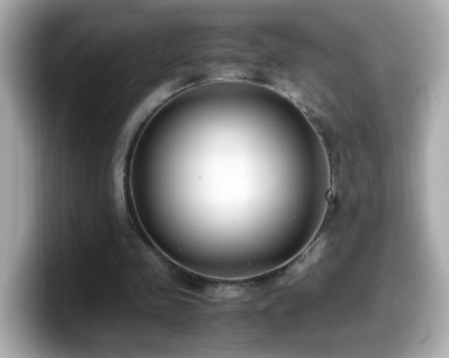 X0000099990341200805231457
