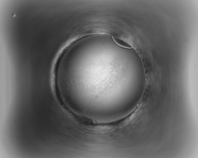 X0000099990342200805231457