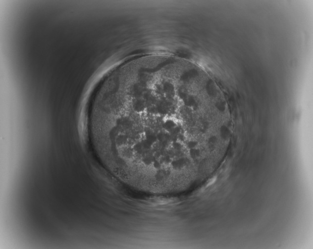 X0000099990343200805231457