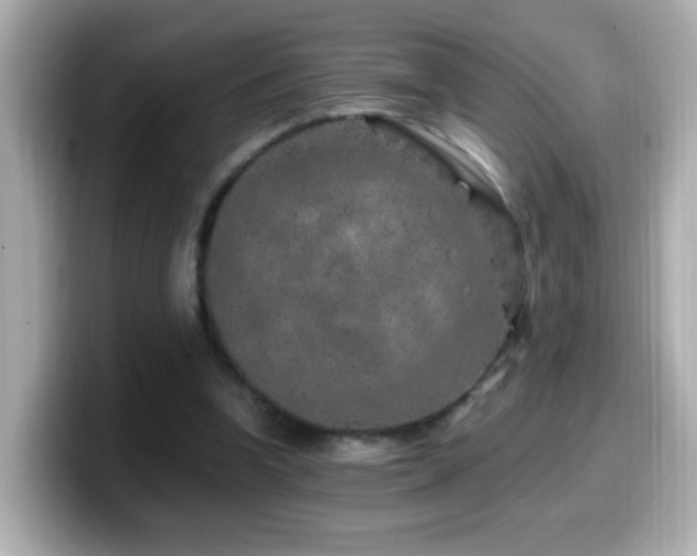 X0000099990346200805231457