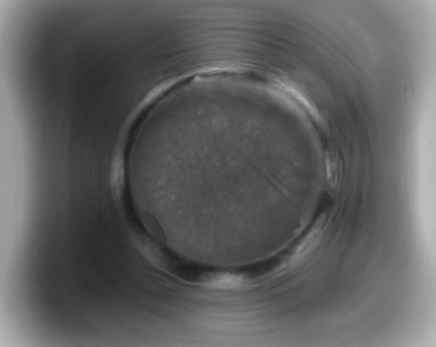 X0000099990348200805231457