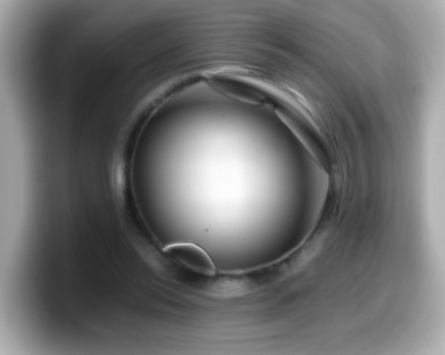 X0000099990350200805231457
