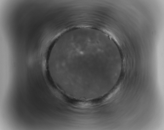 X0000099990351200805231457
