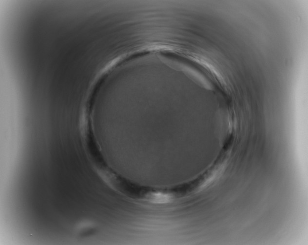 X0000099990352200805231457