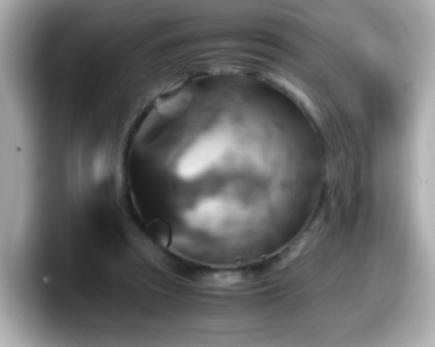 X0000099990353200805231457