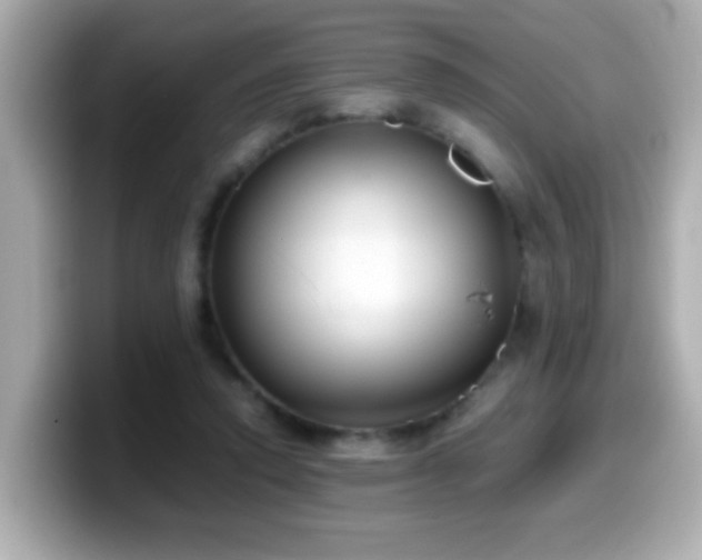 X0000099990354200805231457