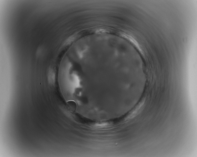 X0000099990357200805231457