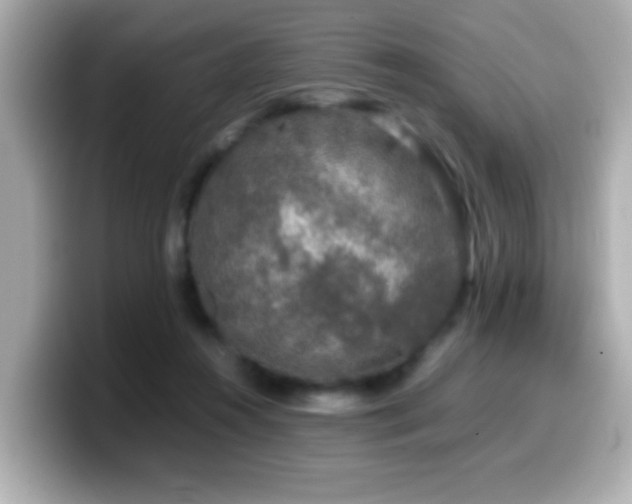 X0000099990360200805231457