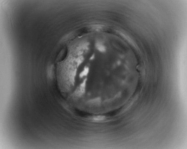 X0000099990361200805231457