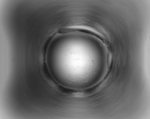 X0000099990362200805231457