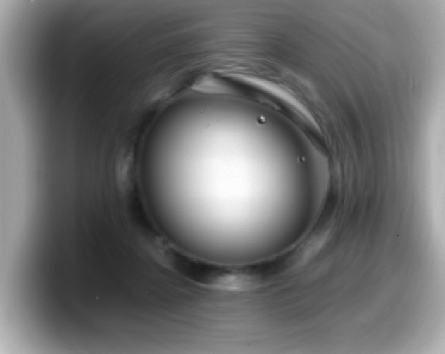 X0000099990364200805231457