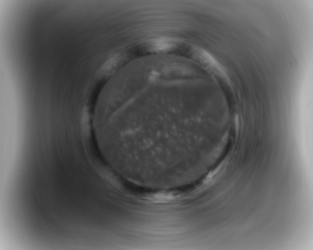 X0000099990366200805231457