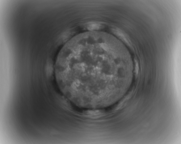 X0000099990367200805231457