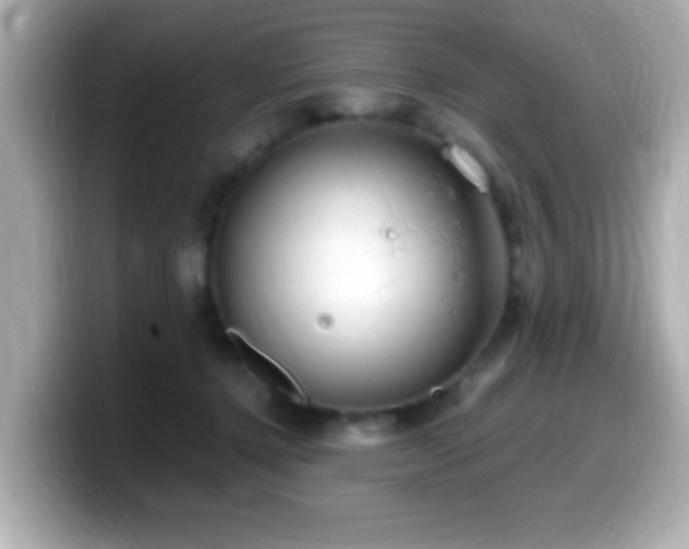 X0000099990368200805231457