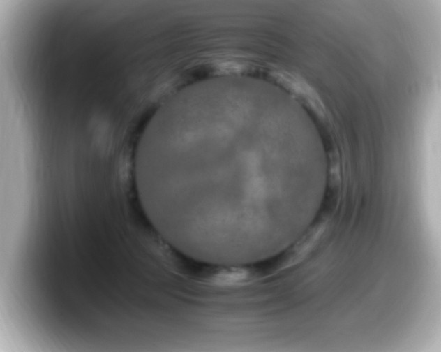 X0000099990369200805231457