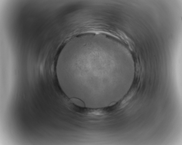 X0000099990377200805231457