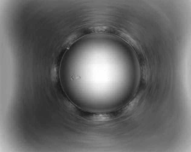 X0000099990378200805231457
