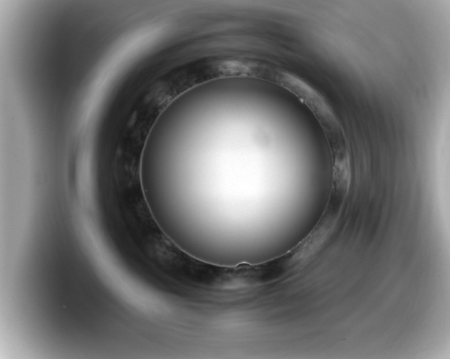 X0000099990381200805231457