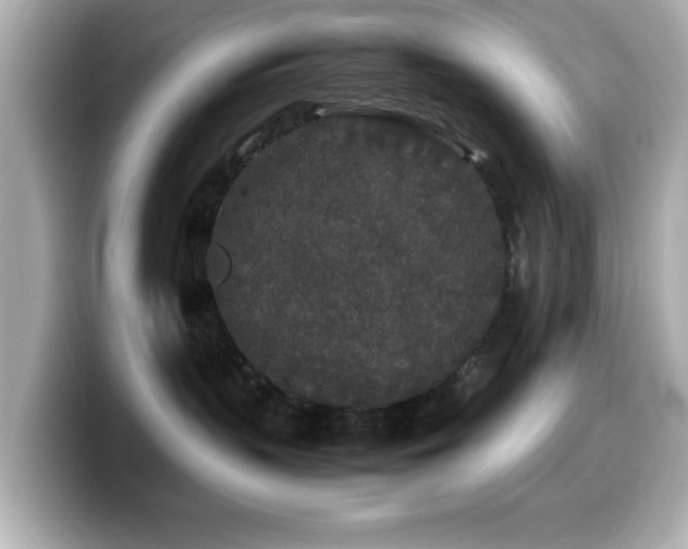 X0000099990383200805231457
