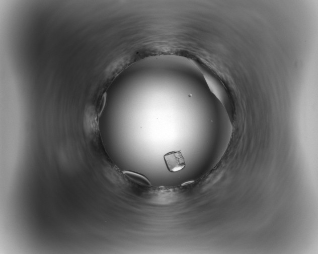 X0000099990384200805231457