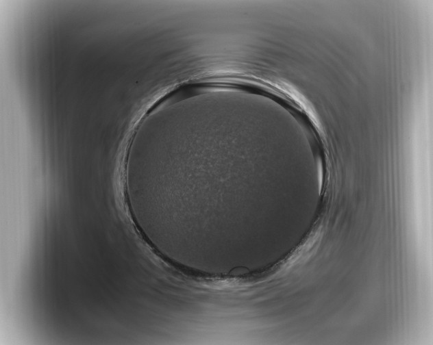 X0000099990385200805231457
