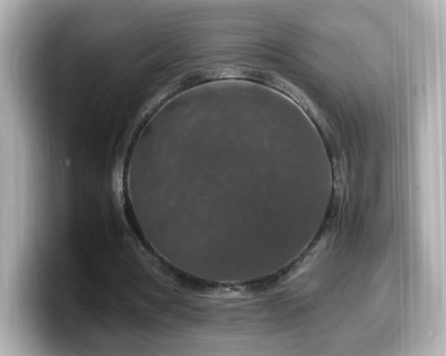 X0000099990386200805231457