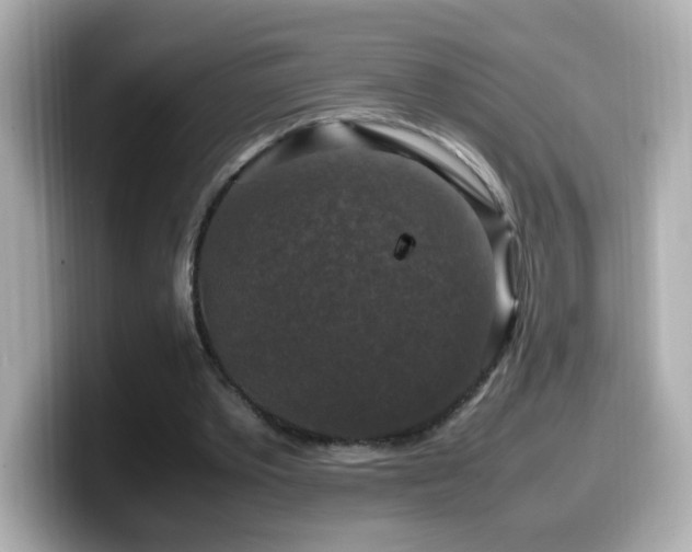 X0000099990389200805231457