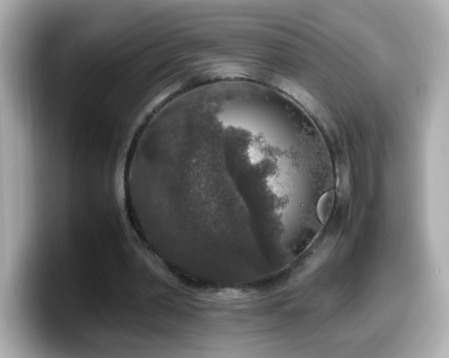 X0000099990390200805231457