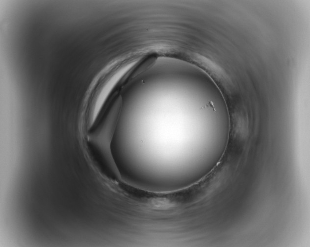 X0000099990392200805231457