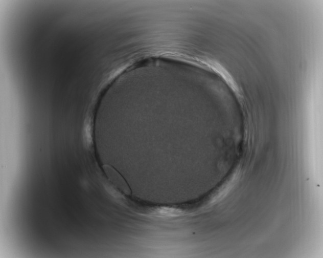 X0000099990393200805231457