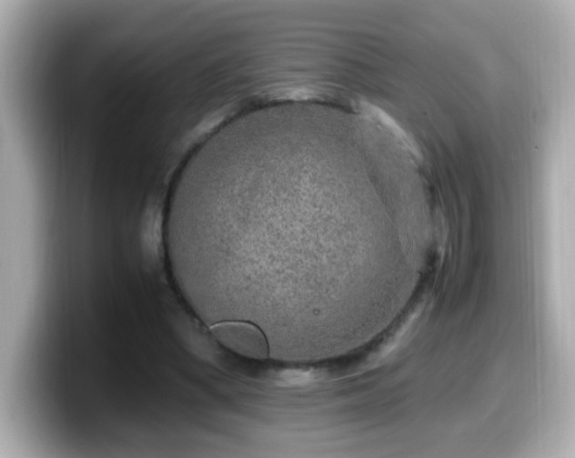 X0000099990394200805231457