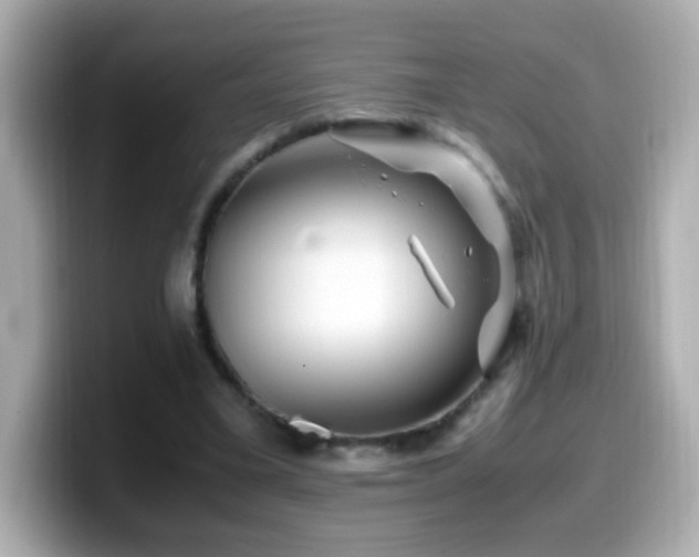 X0000099990395200805231457