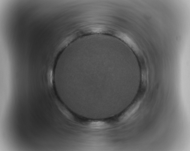 X0000099990397200805231456