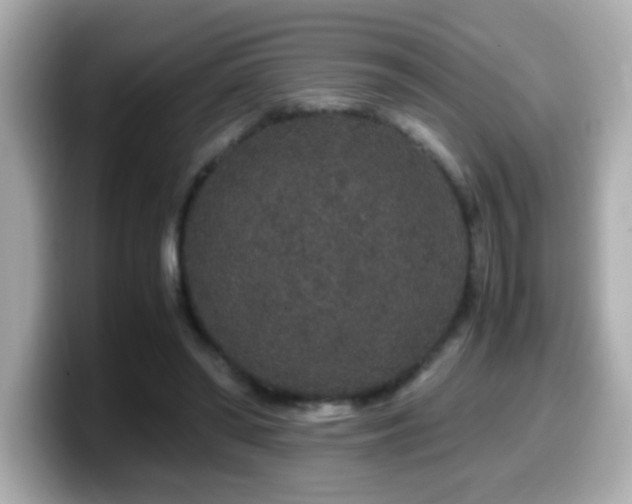 X0000099990398200805231456