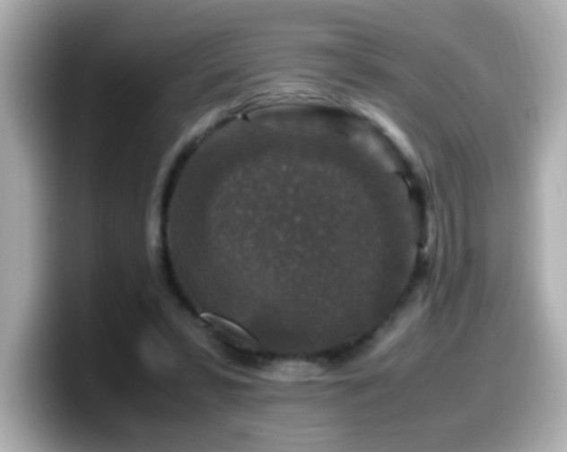 X0000099990399200805231456