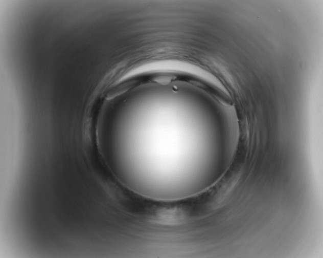 X0000099990400200805231456