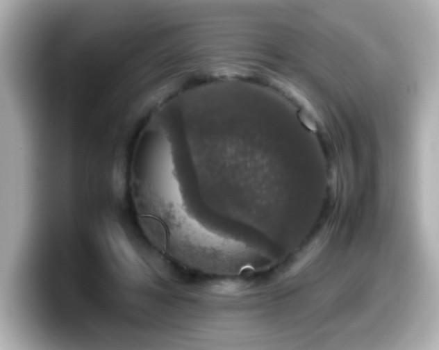 X0000099990402200805231456