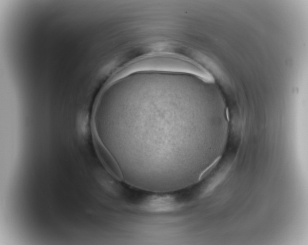 X0000099990403200805231456